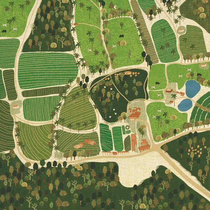 Mapa ilustrado de Finca Marta