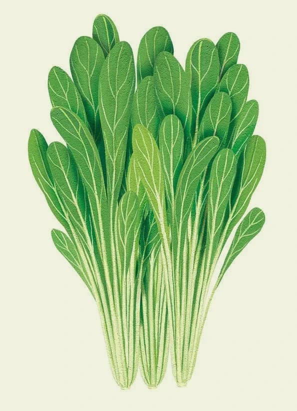 Horticultura