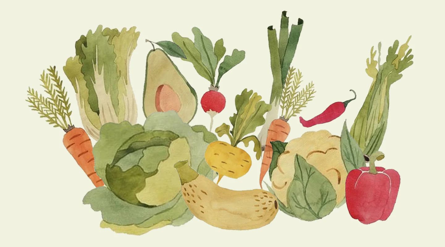 Ilustración de hortalizas del mercado de Finca Marta